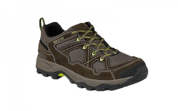 Irish setter afton Clearance